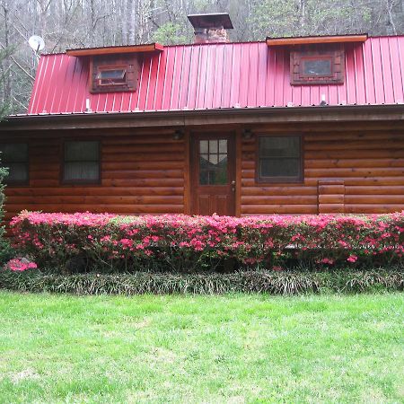 Buffalo Creek Bed And Breakfast ロビンズビル エクステリア 写真