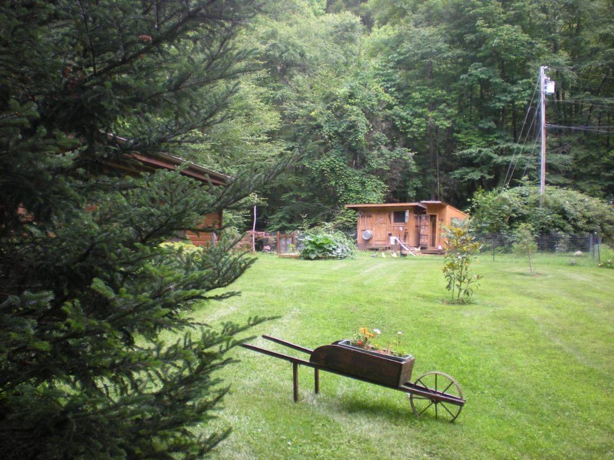 Buffalo Creek Bed And Breakfast ロビンズビル エクステリア 写真